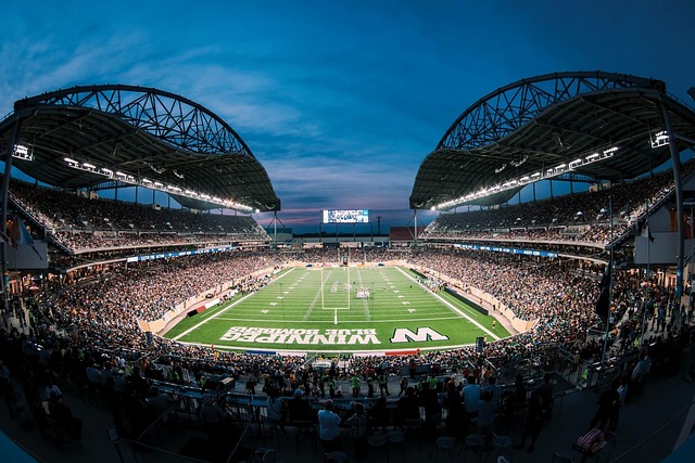 更为深入的 更为深入的