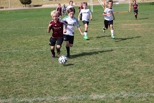 两回合总比 两回合总比