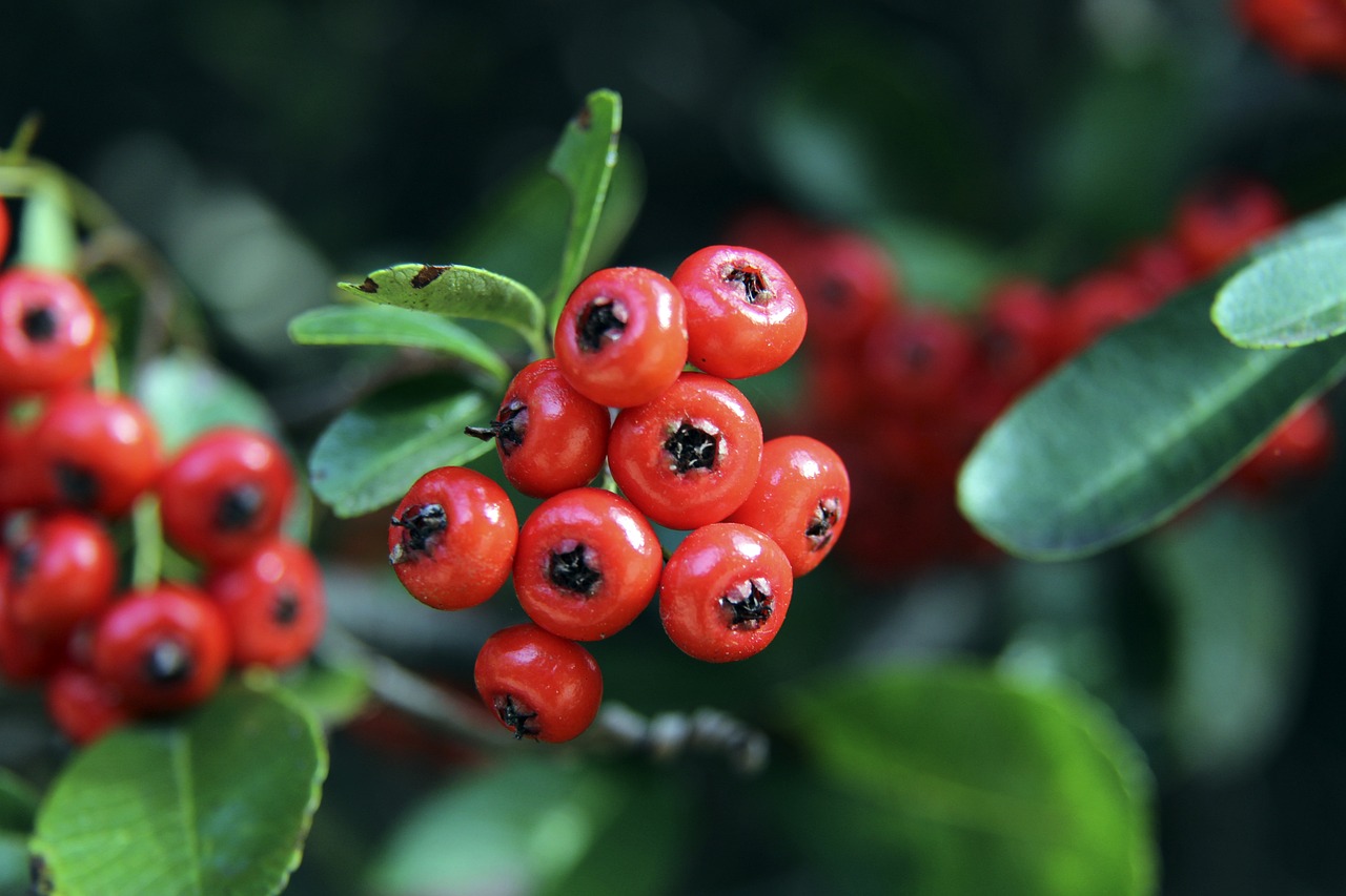 上解决选材 上解决选材