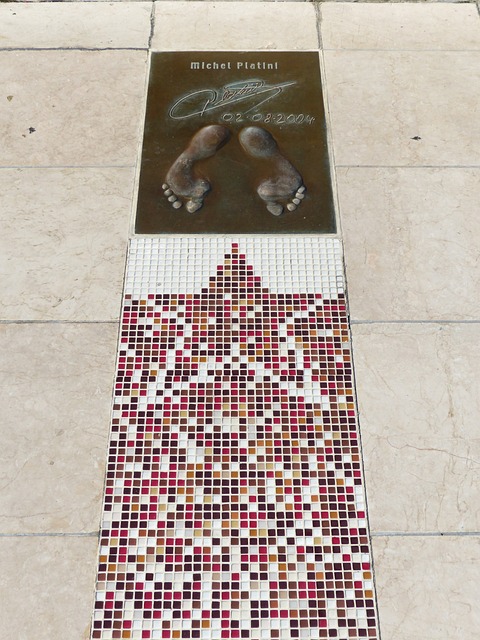 的重视不仅 的重视不仅